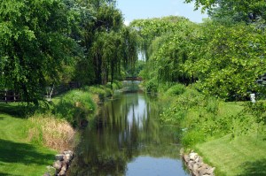 BIEG - River Through Forest