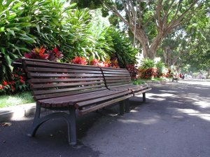 BIEG - Bench