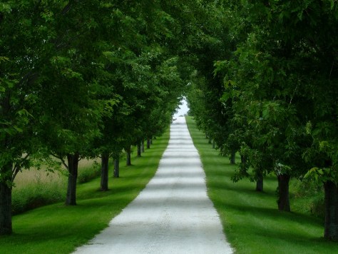 white-stone-path-1504663-1279x960